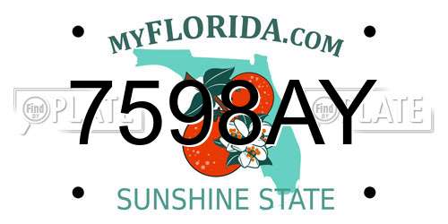 7598AY Florida License Plate