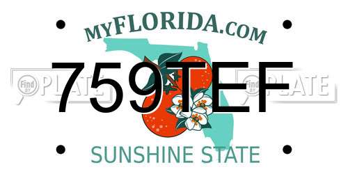 759TEF Florida License Plate