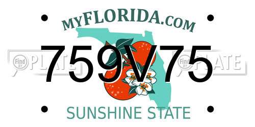 759V75 Florida License Plate