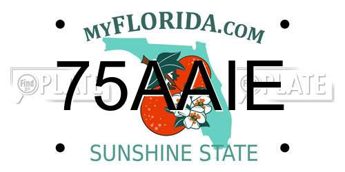 75AAIE Florida License Plate