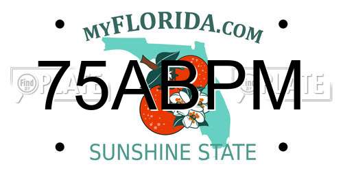 75ABPM Florida License Plate