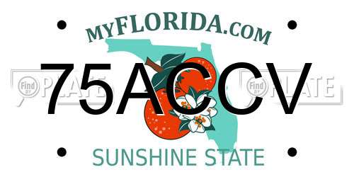 75ACCV Florida License Plate