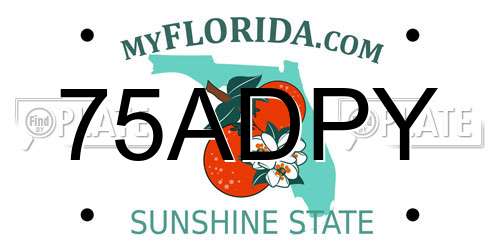 75ADPY Florida License Plate