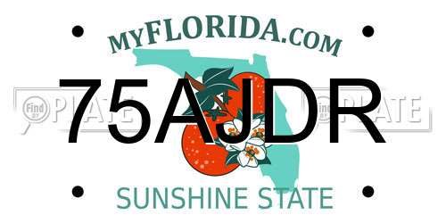 75AJDR Florida License Plate