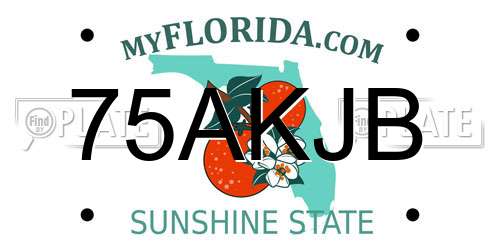 75AKJB Florida License Plate