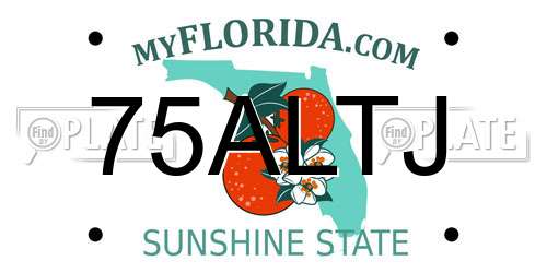 75ALTJ Florida License Plate