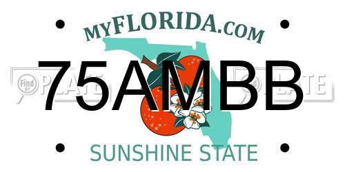75AMBB Florida License Plate