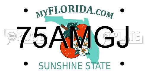 75AMGJ Florida License Plate
