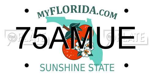 75AMUE Florida License Plate