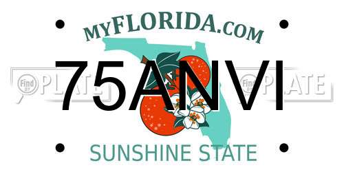 75ANVI Florida License Plate