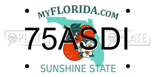 75ASDI Florida License Plate