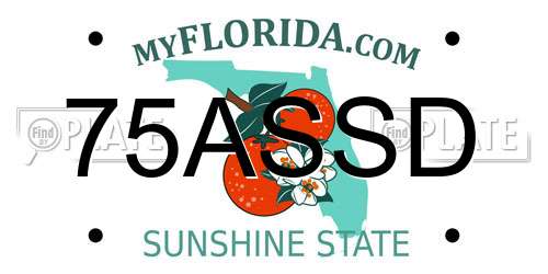 75ASSD Florida License Plate
