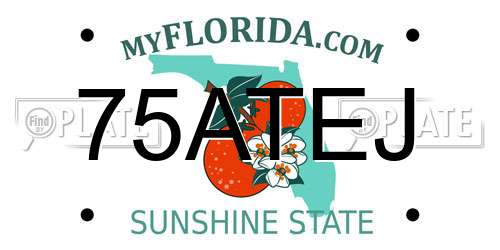 75ATEJ Florida License Plate