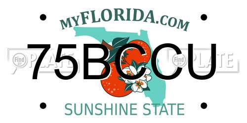 75BCCU Florida License Plate