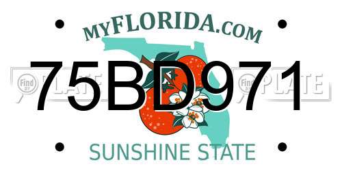 75BD971 Florida License Plate