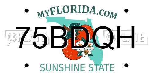 75BDQH Florida License Plate
