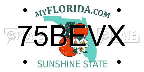 75BEVX Florida License Plate