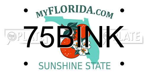 75BINK Florida License Plate