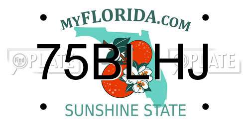 75BLHJ Florida License Plate