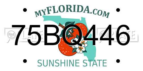 75BQ446 Florida License Plate