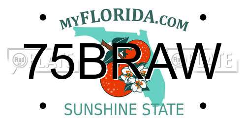 75BRAW Florida License Plate
