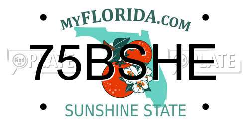75BSHE Florida License Plate