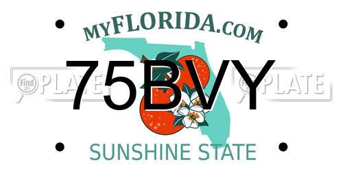 75BVY Florida License Plate