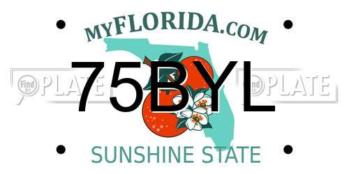 75BYL Florida License Plate