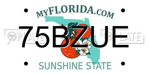 75BZUE Florida License Plate