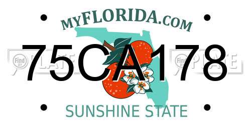 75CA178 Florida License Plate