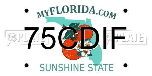 75CDIF Florida License Plate