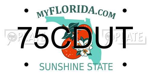 75CDUT Florida License Plate
