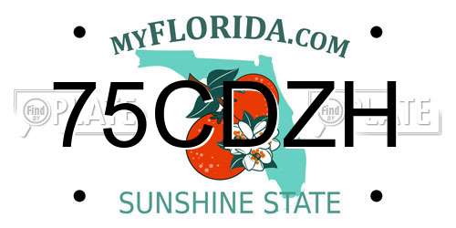 75CDZH Florida License Plate