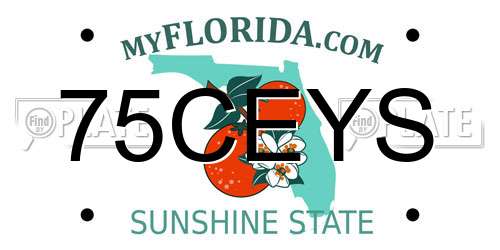 75CEYS Florida License Plate