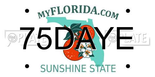 75DAYE Florida License Plate