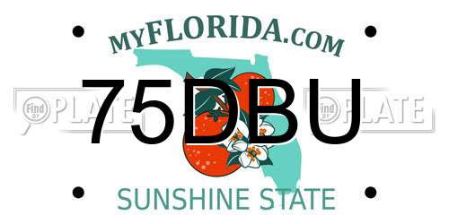 75DBU Florida License Plate