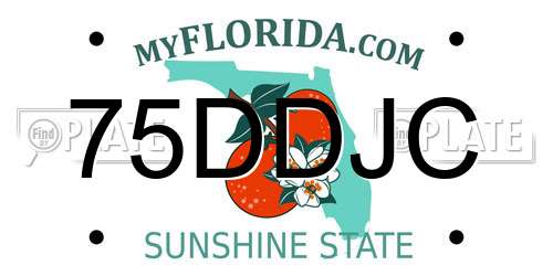 75DDJC Florida License Plate