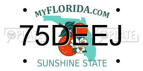 75DEEJ Florida License Plate