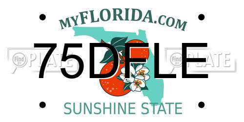 75DFLE Florida License Plate