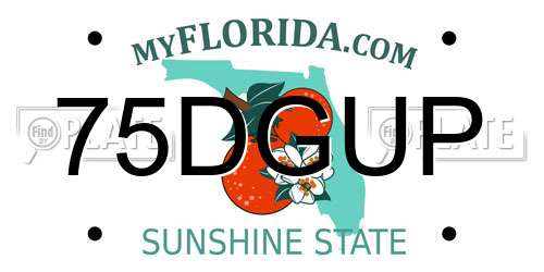 75DGUP Florida License Plate