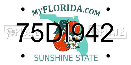 75DI942 Florida License Plate