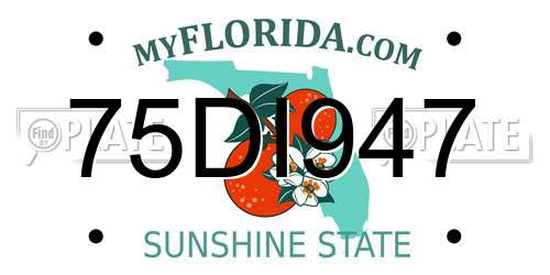 75DI947 Florida License Plate
