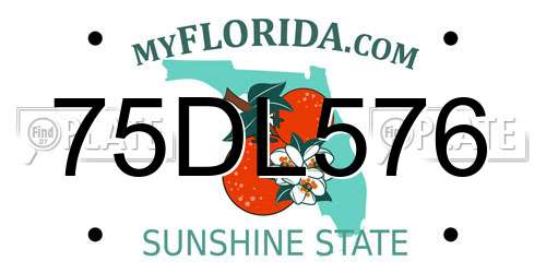 75DL576 Florida License Plate