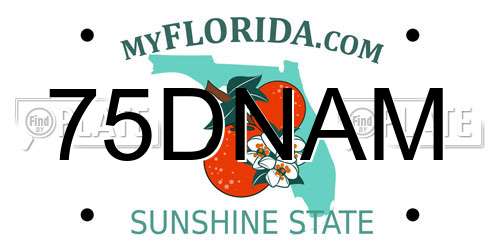75DNAM Florida License Plate