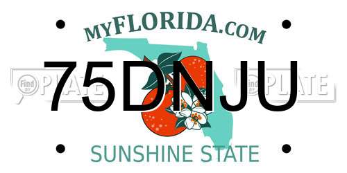 75DNJU Florida License Plate
