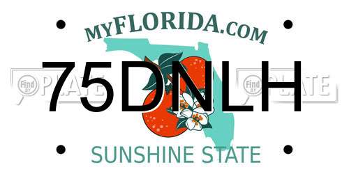 75DNLH Florida License Plate