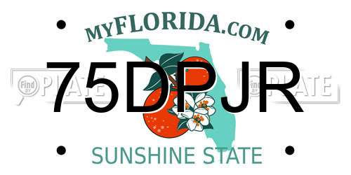 75DPJR Florida License Plate