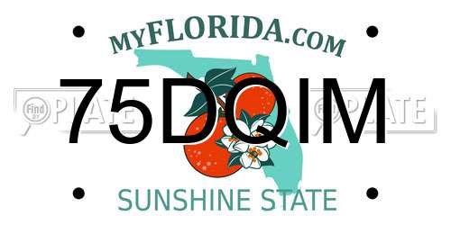 75DQIM Florida License Plate