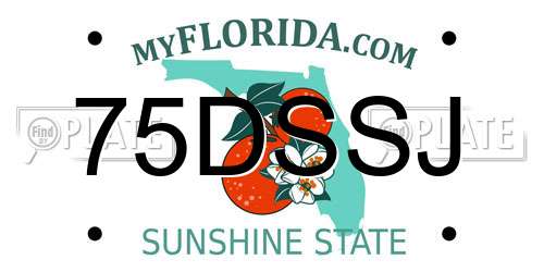 75DSSJ Florida License Plate