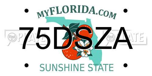 75DSZA Florida License Plate